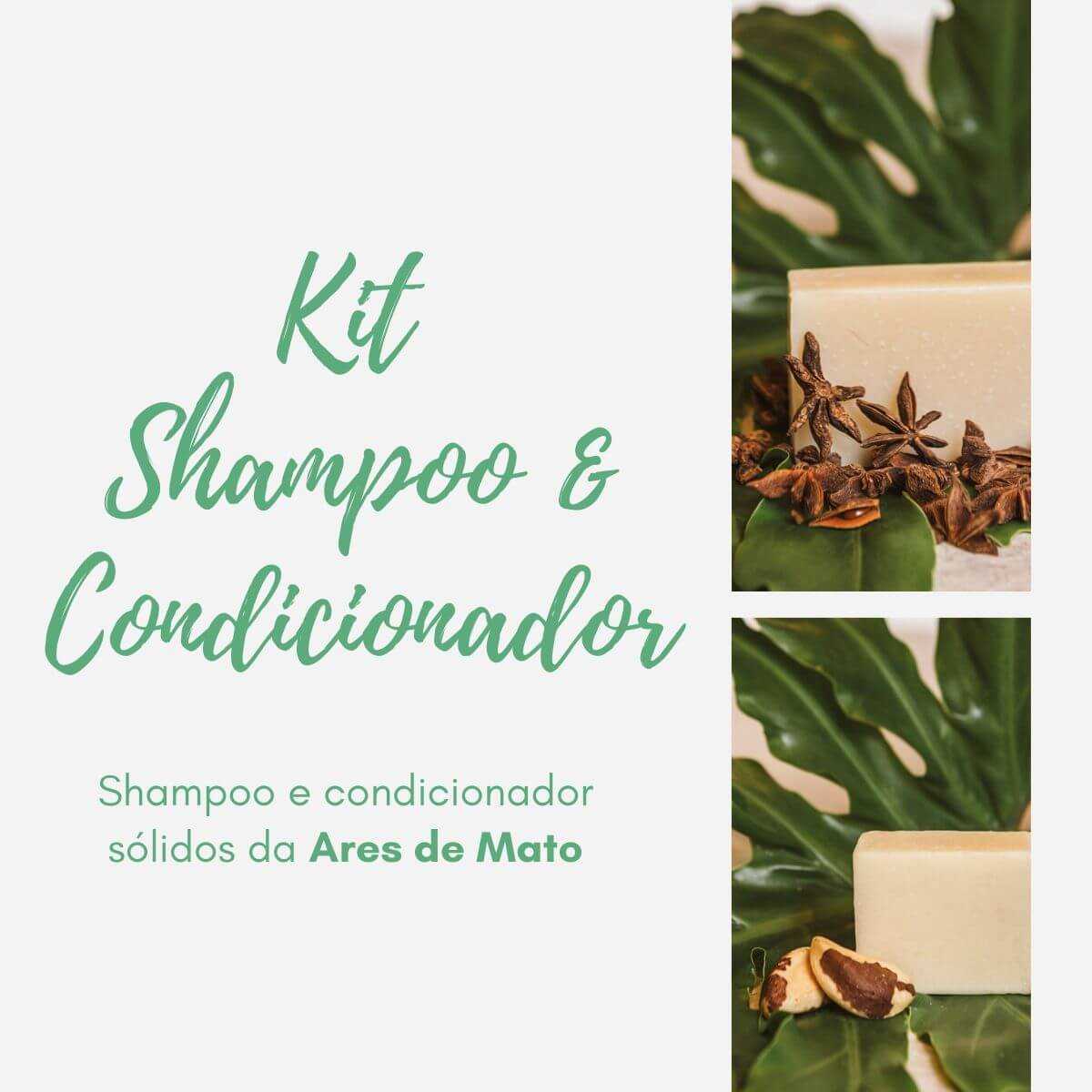 kit shampoo e condicionador solido ares de mato